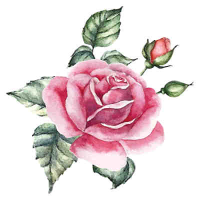 Wandtattoo Aquarell Rose mit Blättern Wandtattoos