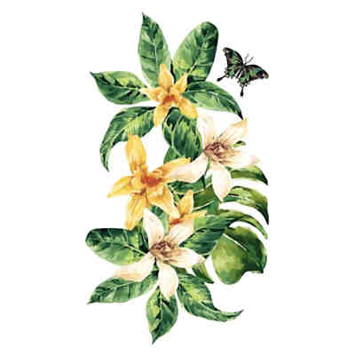 Wandtattoo Blumen Aquarell Lilien mit Schmetterling Wandtattoos