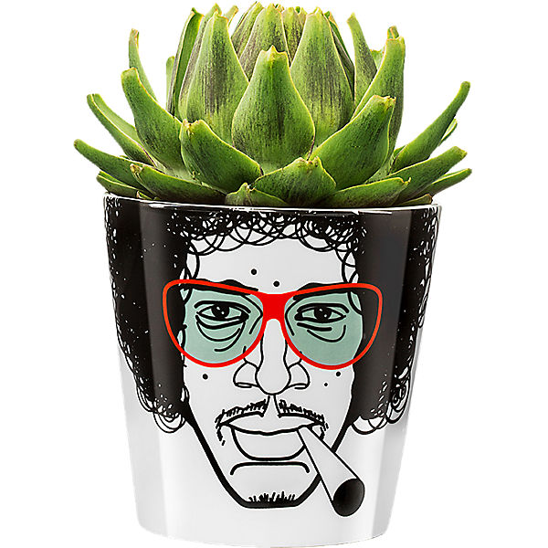 Blumentopf "Herbal Jimmy" large