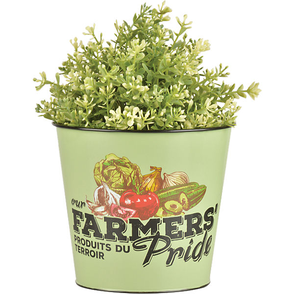 Zink Übertopf "Farmers' Pride"