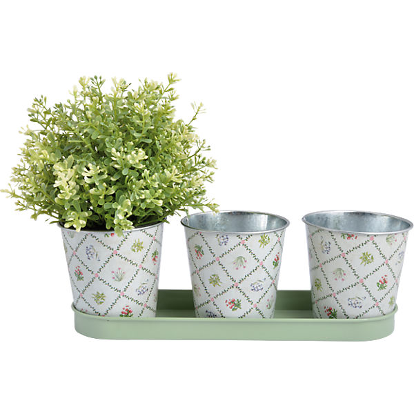 4-tlg. Zink Pflanztöpfe Set mit Tablett "Botanicae"