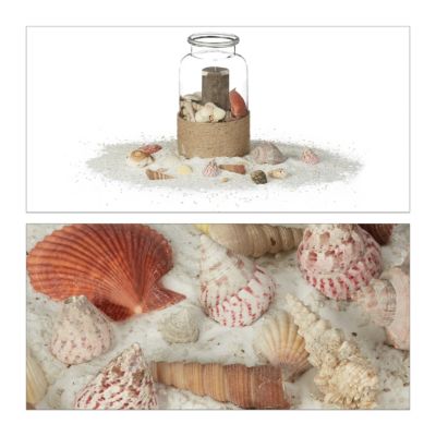 3 tlg. Deko Set, maritimes Strandgut, Muscheln, Windspiel, Dekoherz