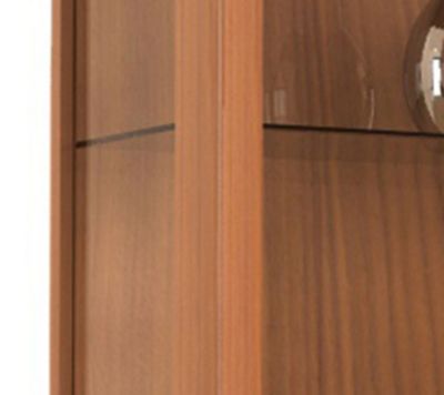 Wandvitrine Sammelvitrine Glasvitrine Wand Vitrine Regal Schrank Glas