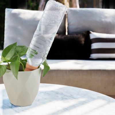 8 x Tonkegel, Zimmerpflanzen Bewässerung Blumen Wasserspender Gießhilfe ...
