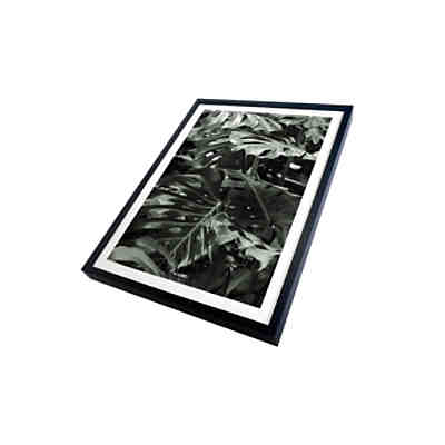 Lion Acrylglasbilder Schwarz Incado Yomonda