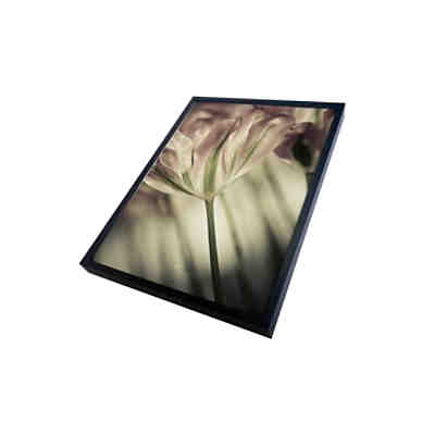 Lion Acrylglasbilder Schwarz Incado Yomonda