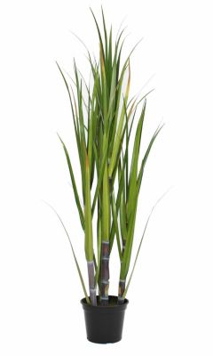 Weidenhänger Bambus Hängepflanze Rankpflanze Kunstpflanze 1016022-00 getopft F70 