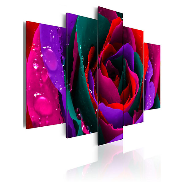 Wandbild Multicoloured rose