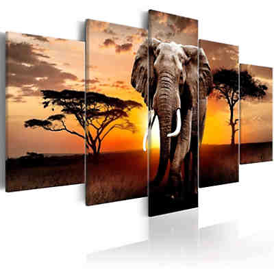 Wandbild Elephant Migration