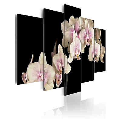 Wandbild Orchidee am kontrastierenden Hintergrund