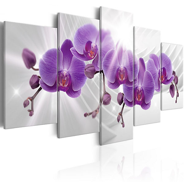 Wandbild Abstract Garden: Purple Orchis