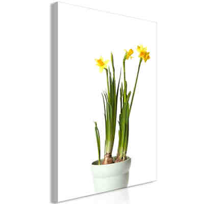 Wandbild Narcissus (1 Part) Vertical
