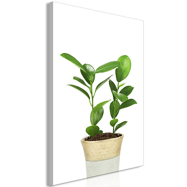 Wandbild Plant In Pot (1 Part) Vertical