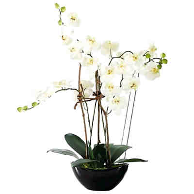 Kunstpflanze Orchideentopf Modern Kunstpflanzen