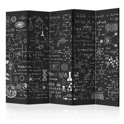 Image of artgeist Paravent Science on Chalkboard II [Room Dividers] schwarz/weiß Gr. 225 x 172