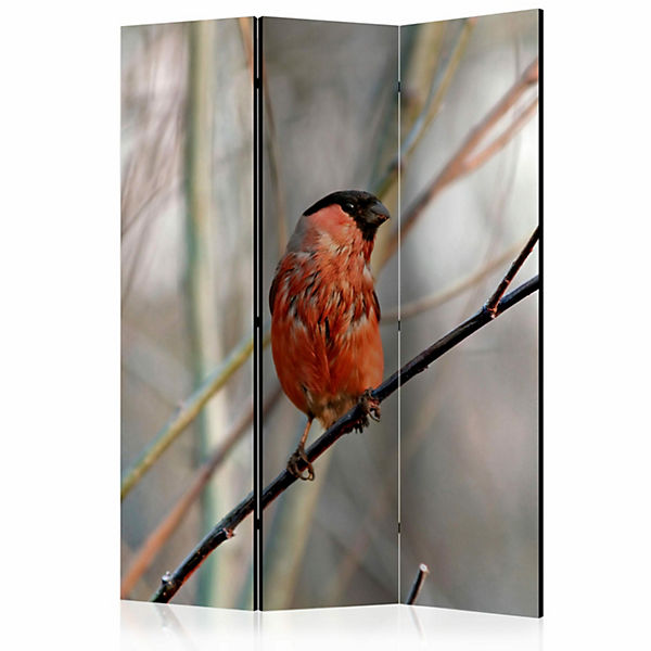 Paravent Bullfinch in the forest [Room Dividers]