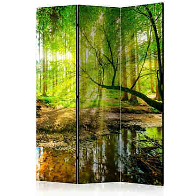 Paravent Forest Stream [Room Dividers]