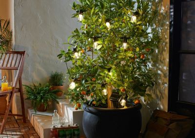 Solarlichterkette Outdoor Leuchtdeko, weiß, HOME Living | yomonda