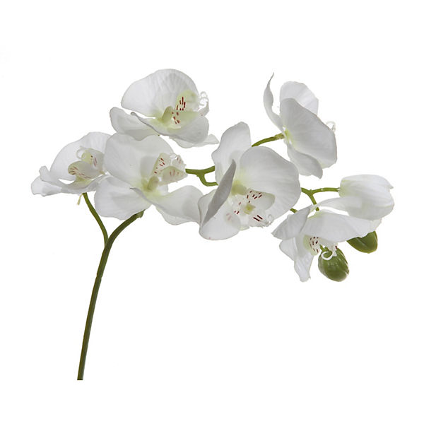 Orchideenzweig Kunst 9 Blüten