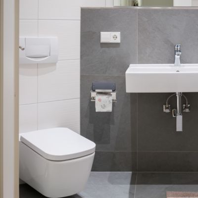 Toilettenpapierhalter mit Ablage silber, silber, relaxdays | yomonda