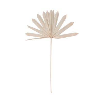 FLOWER MARKET Trockenblumen Palmblatt 4 Stück Kunstpflanzen 2