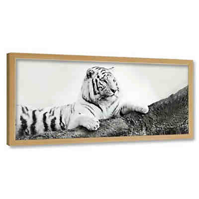 Kunst Der wachsame Tiger Leinwandbilder