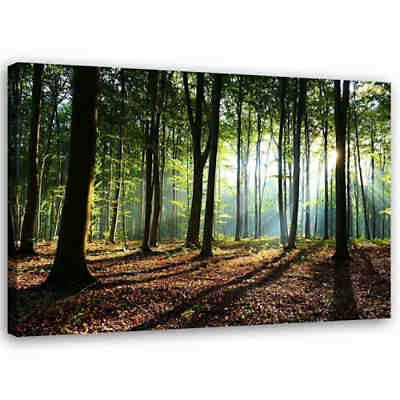 Kunst grüner Wald Leinwandbilder