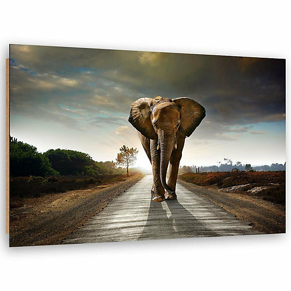 Kunst Elefant auf der Straße Leinwandbilder