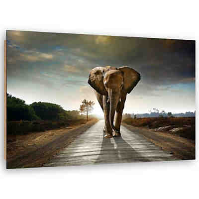 Kunst Elefant auf der Straße Leinwandbilder
