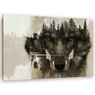 Kunst Brown Wolf Leinwandbilder