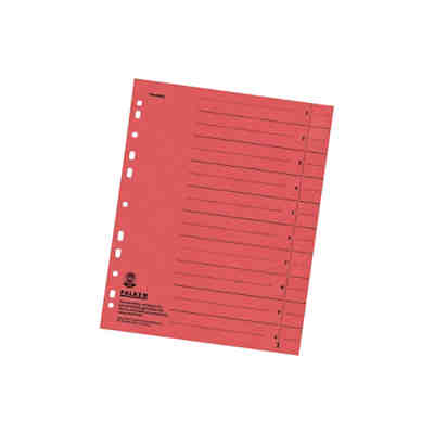 Trennblatt,RC-Kraftkarton,DIN A4,230 g/qm,mit Organisationsaufdruck,rot,100St.