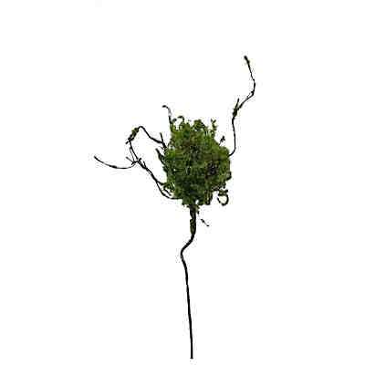 Zweig mit Vogelnest Kunstpflanze Flora