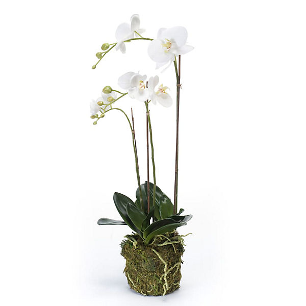 Künstliche Phalaenopsis-Orchidee Weiß 70 cm Kunstpflanze