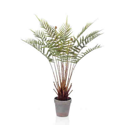 Kunstpflanze Dicksonia Farn im Topf 60 cm Künstliche Pflanze