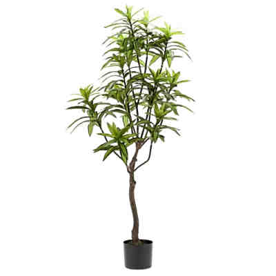 Kunstpflanze Drachenbaum Grün 130 cm 419843 Kunstpflanze