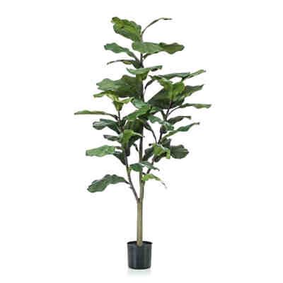 Geigenfeige Ficus lyrata Künstlich 120 cm Dekorationspflanze