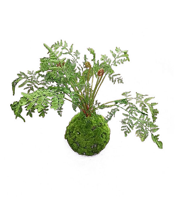 HTI-Living Kunstpflanze Farn-Busch Flora grün | 04251312969752 HTI-Living Kunstpflanze Farn-Busch Flora grün | 04251312969752