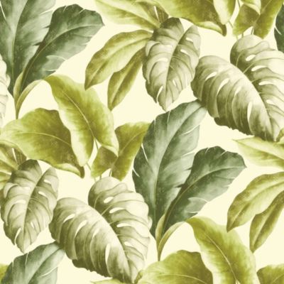 Wohnzimmer Vlies Vinyl Fototapete Wandblider silberne tropische Blätter 