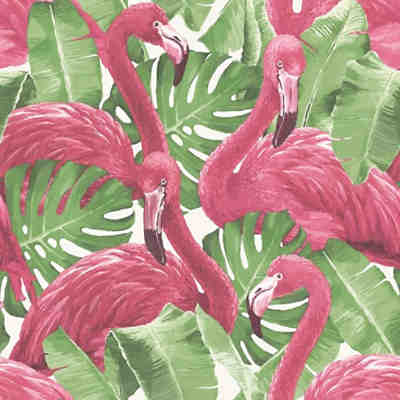 Noordwand Tapete Flamingo and Monstera Fototapete Wandtapete Mehrere Auswahl Tapete