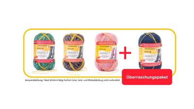 REGIA Handstrickgarne Pairfect 4-fädig, 100g, Überraschungspaket 4-fädig Pairfect Color 100g bunt | 04053859337199