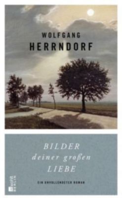 Bilder deiner großen Liebe, , Wolfgang Herrndorf yomonda